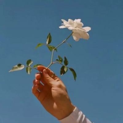 盗墓摸金九层妖塔变态版下载